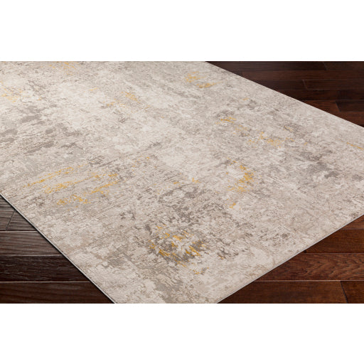 Surya Roswell RSW-2301 Gray Traditional  Rug