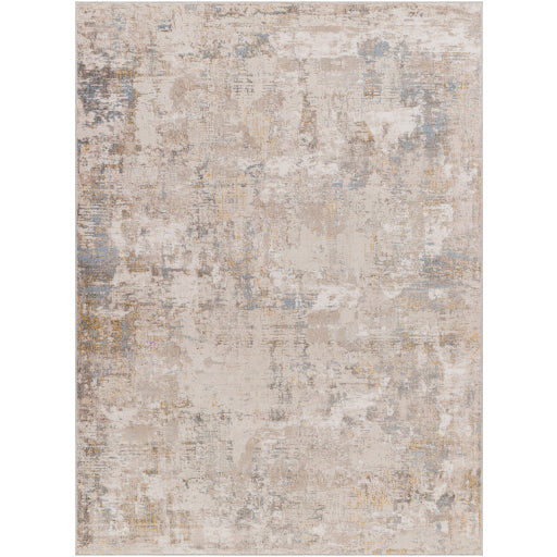 Surya Roswell RSW-2302 Gray Modern  Rug