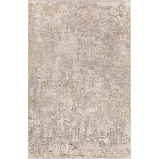 Surya Roswell RSW-2303 Gray Modern  Rug