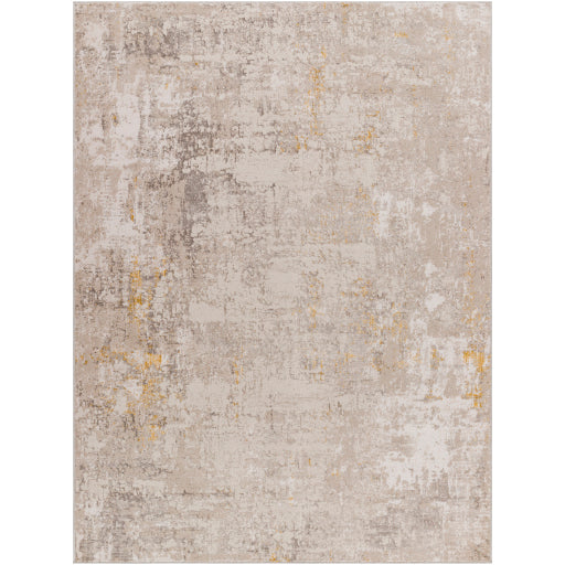 Surya Roswell RSW-2304 Gray Modern  Rug