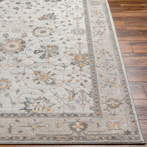 Surya Roswell RSW-2308 Off-White Traditional  Rug