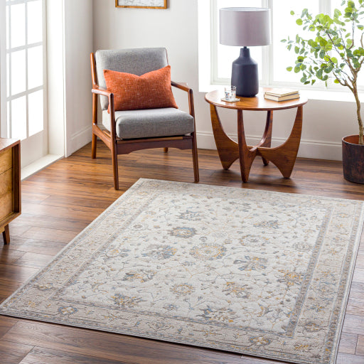 Surya Roswell RSW-2308 Off-White Traditional  Rug