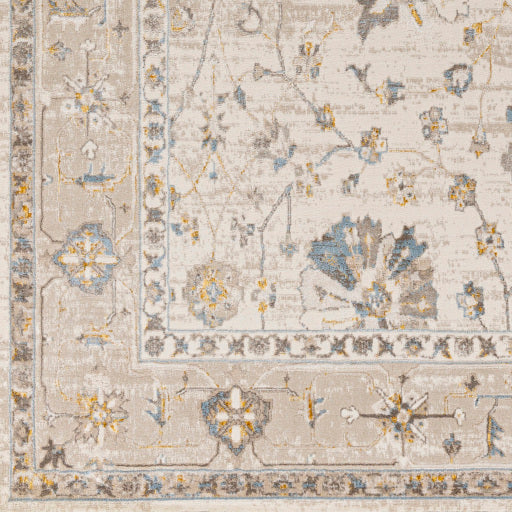 Surya Roswell RSW-2308 Off-White Traditional  Rug