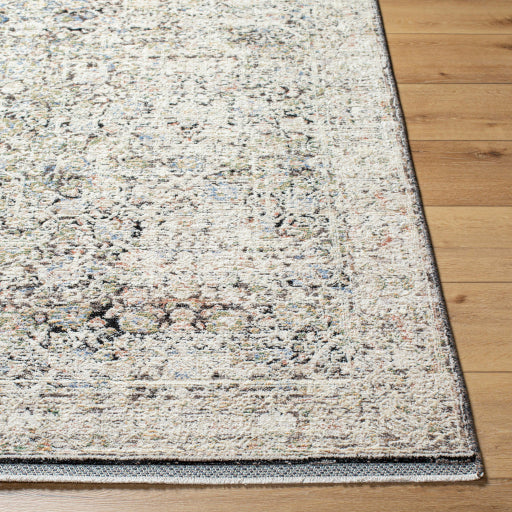 Surya Rivaldo RVD-2302 Cream Traditional  Rug