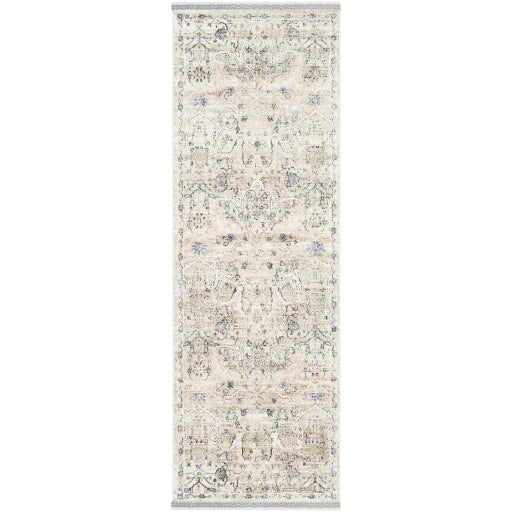 Surya Rivaldo RVD-2309 Cream Traditional  Rug