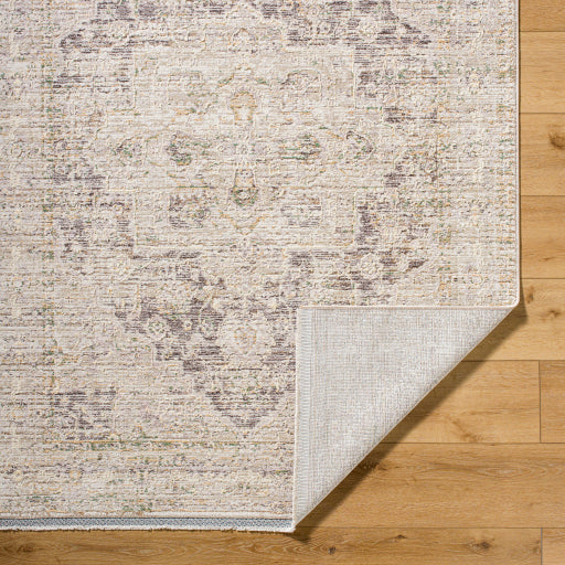 Surya Rivaldo RVD-2310 Cream Traditional  Rug