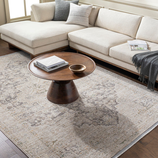 Surya Rivaldo RVD-2310 Cream Traditional  Rug