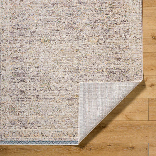 Surya Rivaldo RVD-2311 Cream Traditional  Rug