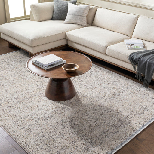 Surya Rivaldo RVD-2311 Cream Traditional  Rug