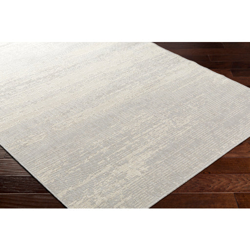 Surya Ravello RVL-2304 Light Gray Modern  Rug