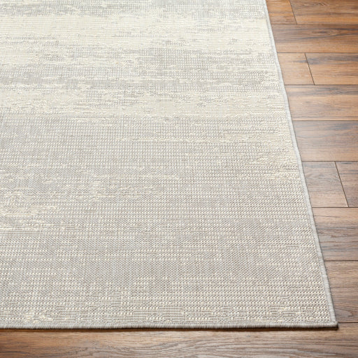 Surya Ravello RVL-2304 Light Gray Modern  Rug