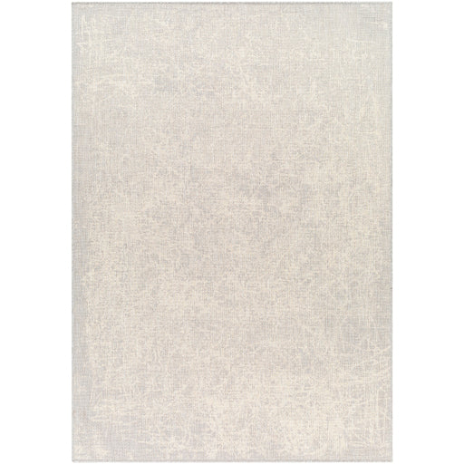 Surya Ravello RVL-2307 Light Gray Modern  Rug