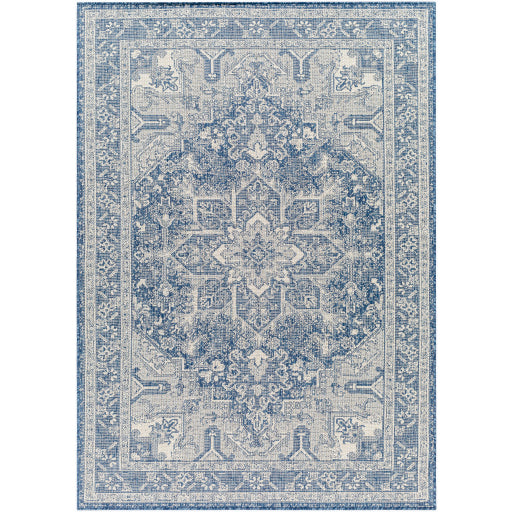 Surya Ravello RVL-2309 Denim Traditional  Rug