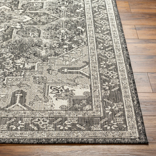 Surya Ravello RVL-2311 Light Gray Traditional  Rug