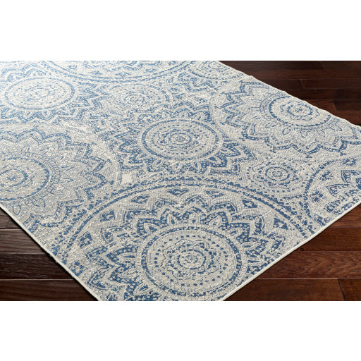 Surya Ravello RVL-2312 Ivory Cottage  Rug