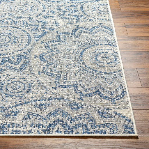 Surya Ravello RVL-2312 Ivory Cottage  Rug