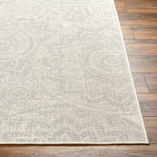 Surya Ravello RVL-2313 Ivory Cottage  Rug