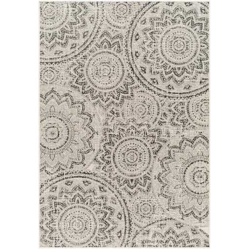 Surya Ravello RVL-2314 Ivory Cottage  Rug