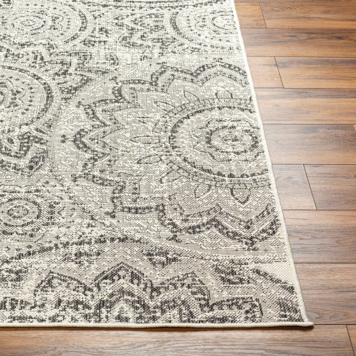 Surya Ravello RVL-2314 Ivory Cottage  Rug