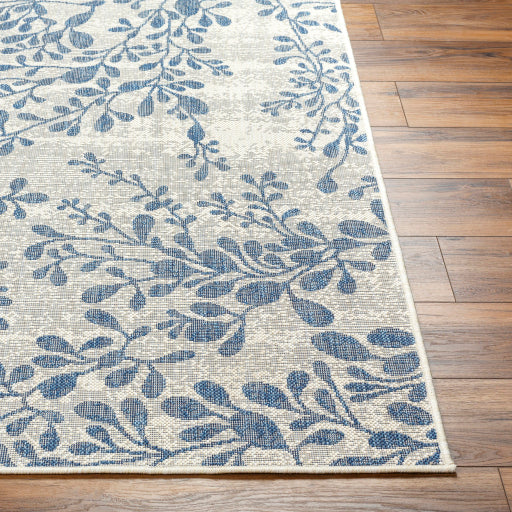 Surya Ravello RVL-2315 Ivory Cottage  Rug