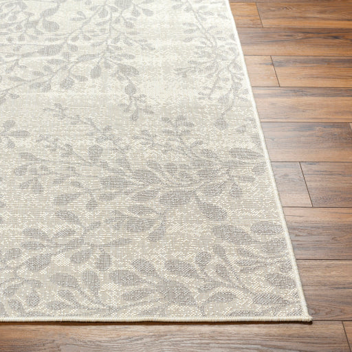 Surya Ravello RVL-2316 Ivory Cottage  Rug