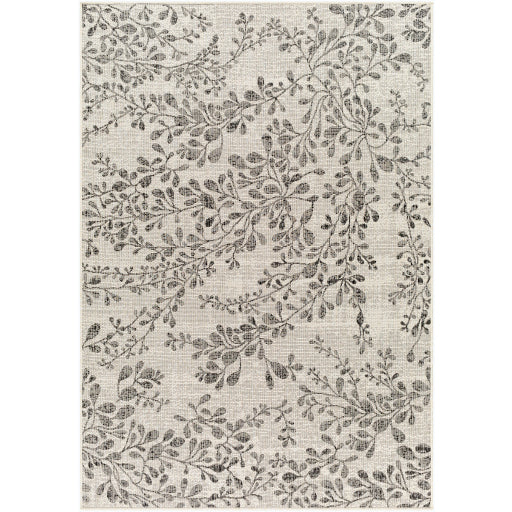 Surya Ravello RVL-2317 Ivory Cottage  Rug