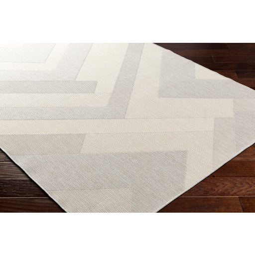 Surya Ravello RVL-2319 Light Gray Modern  Rug