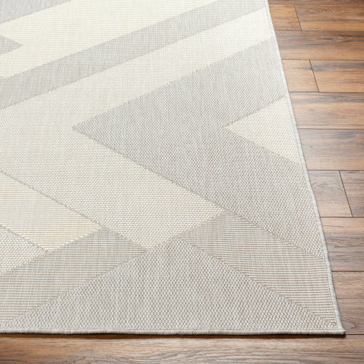 Surya Ravello RVL-2319 Light Gray Modern  Rug