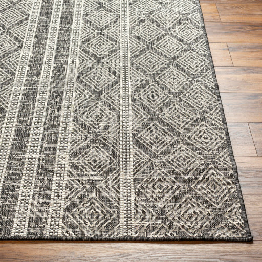 Surya Ravello RVL-2323 Light Gray Global  Rug