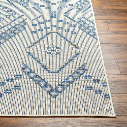 Surya Ravello RVL-2324 Ivory Global  Rug