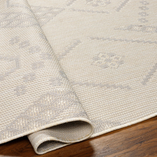 Surya Ravello RVL-2325 Ivory Global  Rug