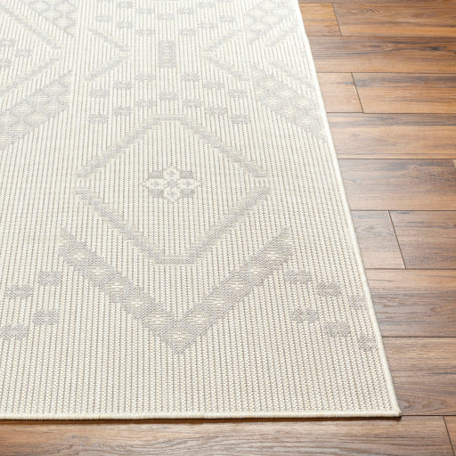 Surya Ravello RVL-2325 Ivory Global  Rug