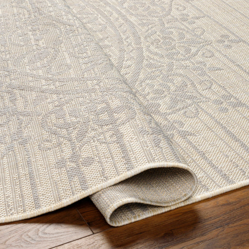 Surya Ravello RVL-2331 Ivory Traditional  Rug