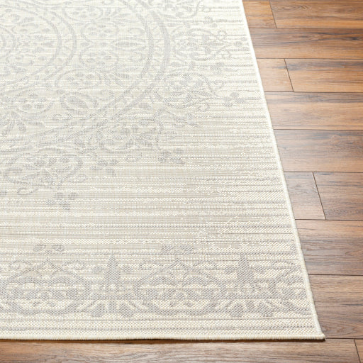 Surya Ravello RVL-2331 Ivory Traditional  Rug