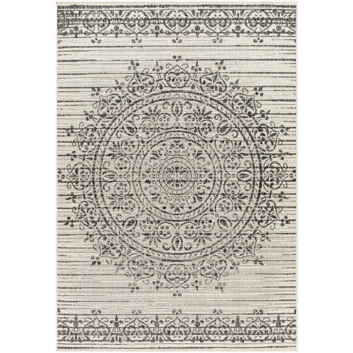 Surya Ravello RVL-2332 Ivory Traditional  Rug