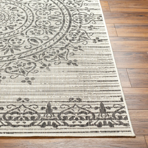 Surya Ravello RVL-2332 Ivory Traditional  Rug