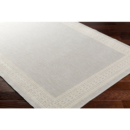 Surya Ravello RVL-2334 Light Gray Modern  Rug