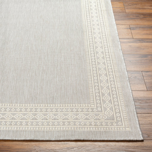 Surya Ravello RVL-2334 Light Gray Modern  Rug