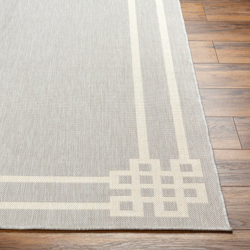 Surya Ravello RVL-2340 Light Gray Modern  Rug