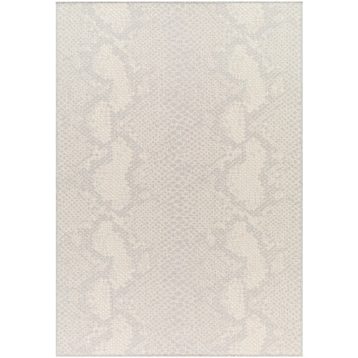 Surya Ravello RVL-2346 Light Gray Modern  Rug