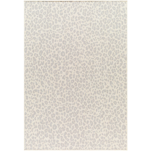 Surya Ravello RVL-2349 Light Gray Modern  Rug