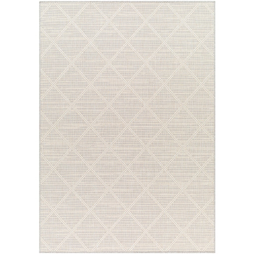 Surya Ravello RVL-2364 Light Gray Modern  Rug