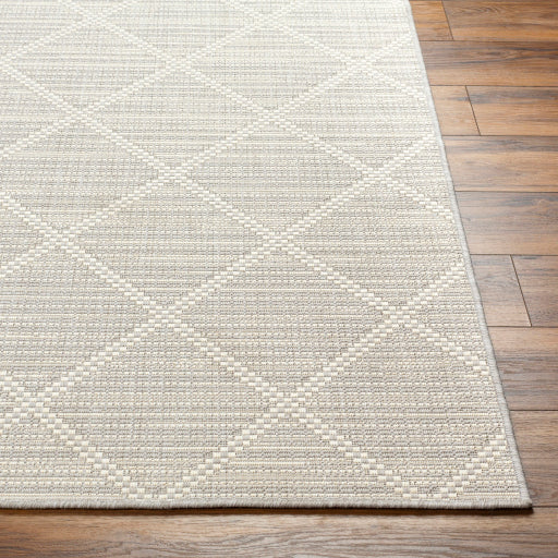 Surya Ravello RVL-2364 Light Gray Modern  Rug