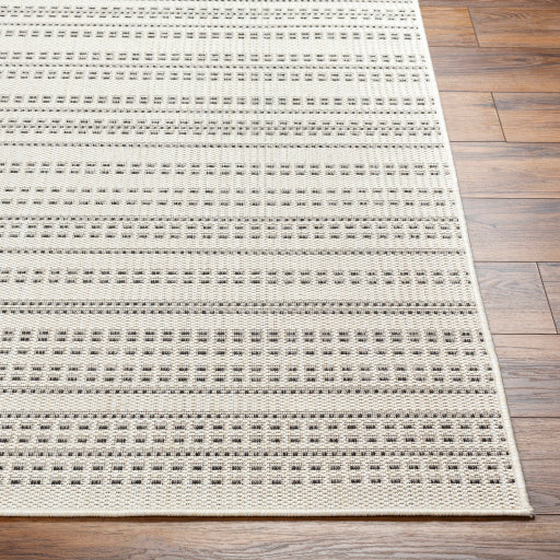 Surya Ravello RVL-2368 Ivory Modern  Rug