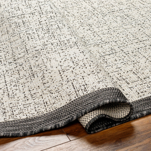 Surya Ravello RVL-2381 Light Gray Modern  Rug