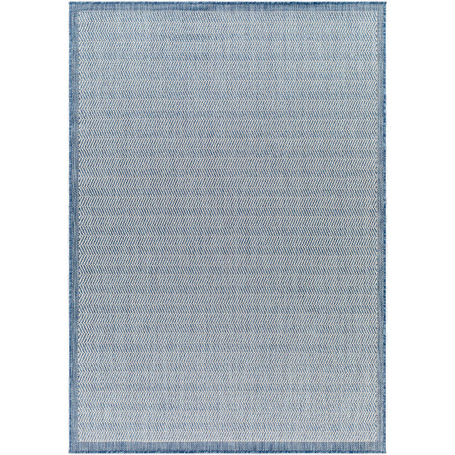 Surya Ravello RVL-2382 Denim Modern  Rug