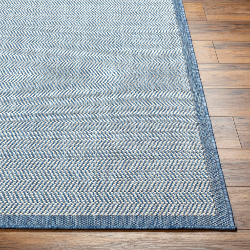 Surya Ravello RVL-2382 Denim Modern  Rug