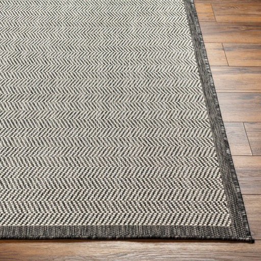 Surya Ravello RVL-2384 Light Gray Modern  Rug