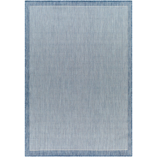 Surya Ravello RVL-2385 Denim Modern  Rug