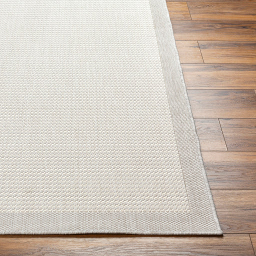 Surya Ravello RVL-2386 Light Gray Modern  Rug